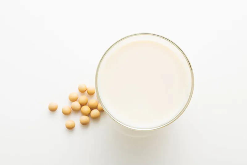 無農薬の良質な大豆の豆乳で共棲培養
